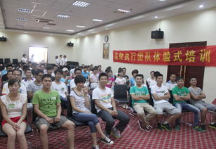 临沂网站建设与全网优化 山东鼎基信息技术赋能企业数字化转型