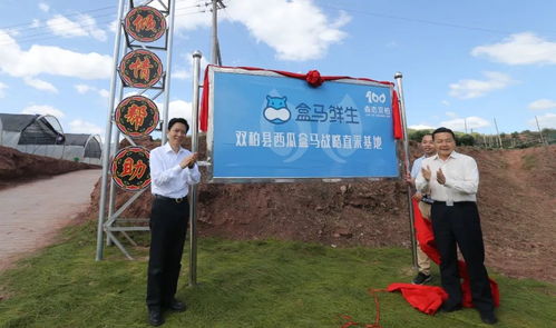 跨越山海的协作 嘉定区党政代表团赴双柏县与南华县考察记