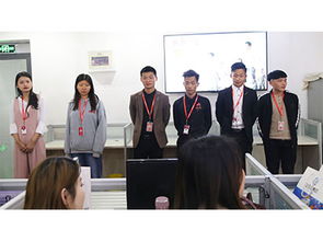 企业数字化突围 山东鼎基信息技术打造临沂网站建设与推广新标杆